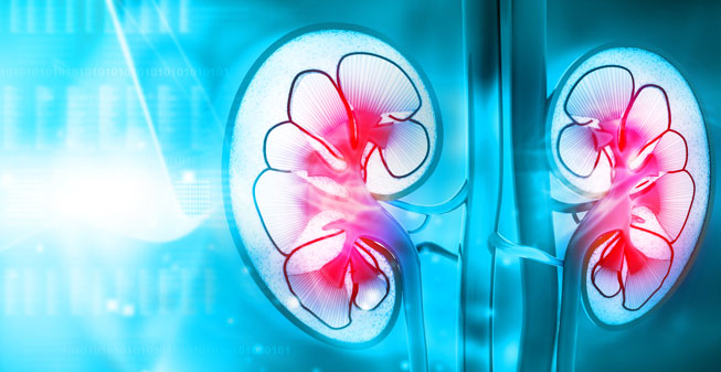 chronic-kidney-disease-653x337