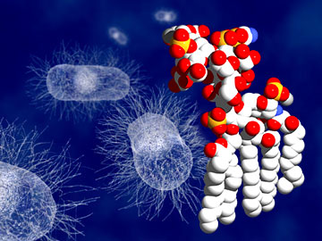 Sepsis and septic shock