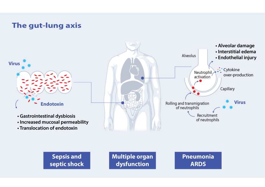 200521-COVID-19-and-the-gut-lung-axis-infographic